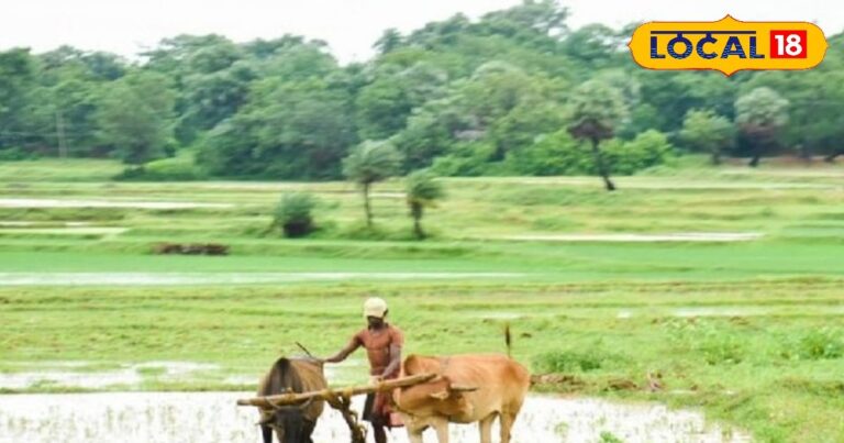 अब पटवारी के चक्कर लगाने का झंझट खत्म, किसान अपनी फसल की गिरदावरी खुद कर सकेंगे।